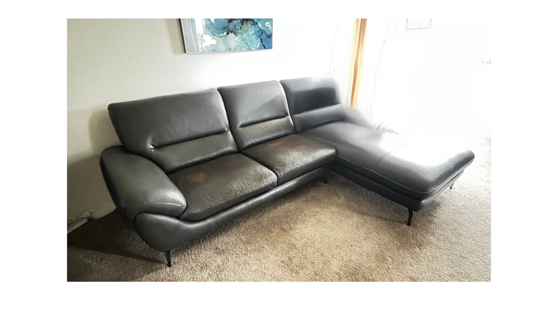 Modern Gray Sectional Couch – $45 (or $90 w/ Delivery)