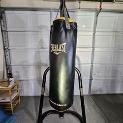 EVERLAST SINGLE STAND, HEAVY BAG, POWER CORE BAG