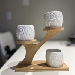 Small pot planter and shelf