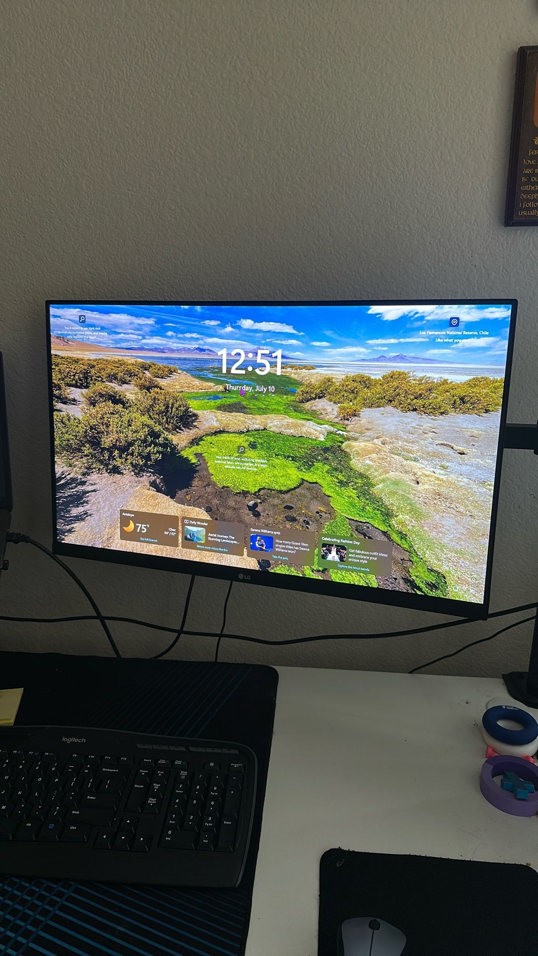 LG Monitors