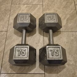 Dumbbell exercise weights 75 lbs