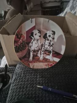 This Is A Collection Plate. On The Back Said Spot