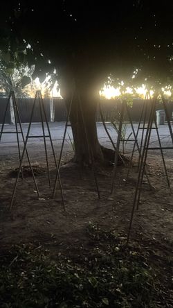 6 Picture or painting easels