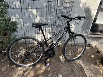 26 In Mountain Bike Raleigh