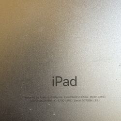 iPad 
