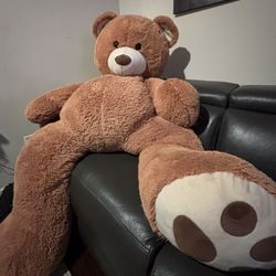 Giant Teddy Bear