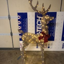 2D Lighted Outdoor 5ft Deer