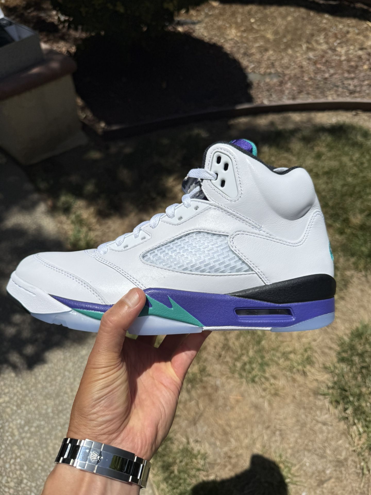 Jordan 5 Grape Size 10.5