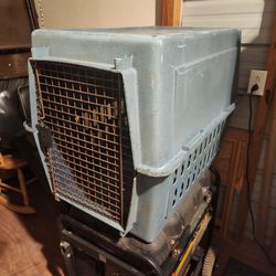 Dog Kennel