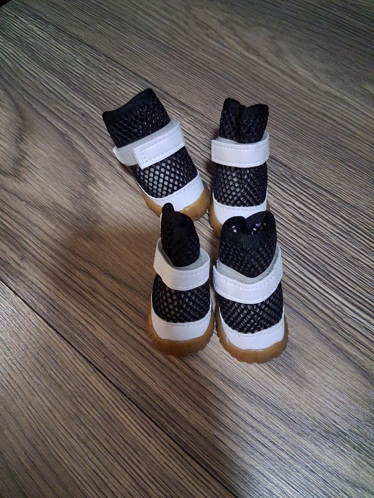 Botitas Para Perrito Size 3nuevas.