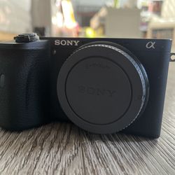 Sony A6600 Camera 