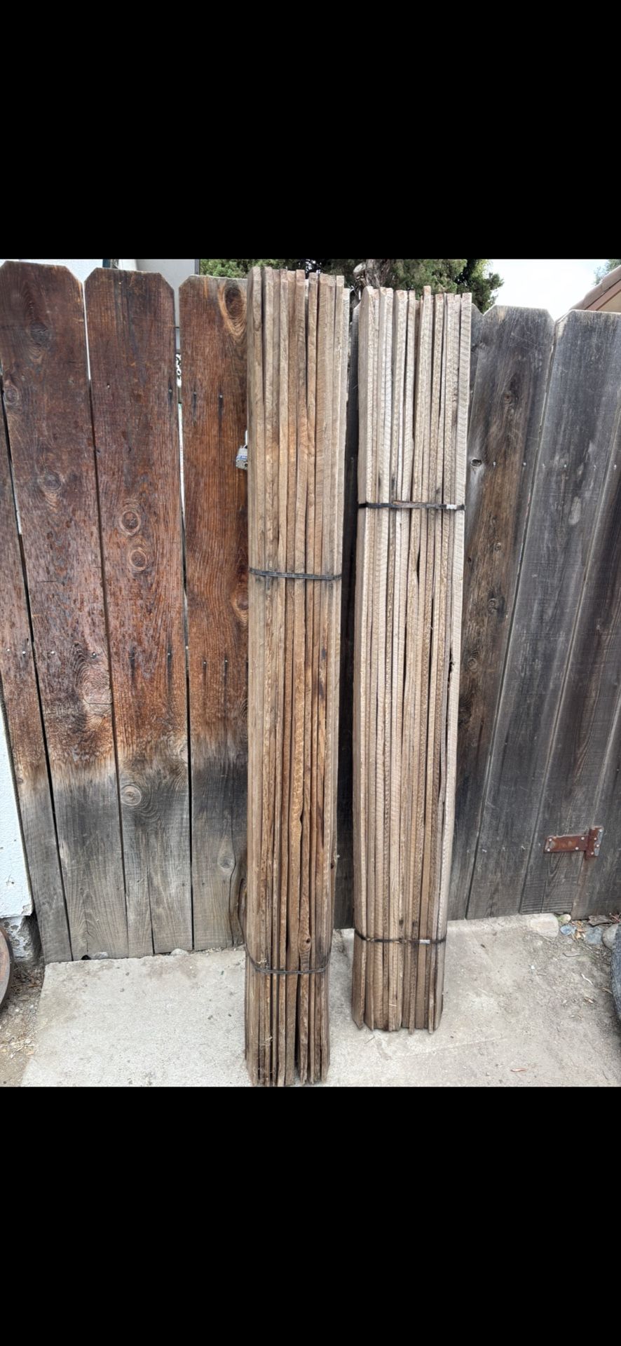 6ft Fence Pickets
