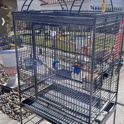 Bird Cage XL
