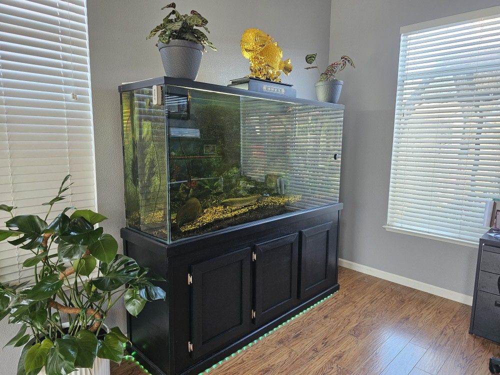 225 Gallon Fish Tank (Aquarium)