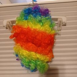 Clown Wig
