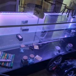 Glass Countertop Display Cabinets 