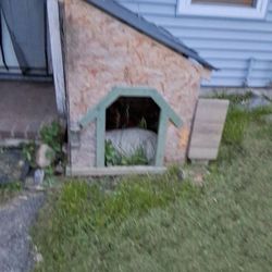 Large  Wooden Dog House