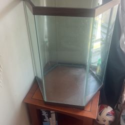55 Gallon vertical Reptile Tank