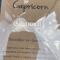 Capricorn Necklace 