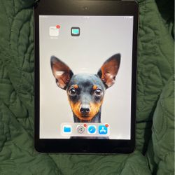 iPad Mini