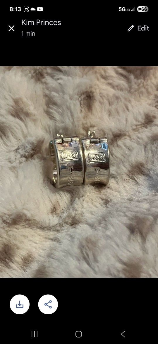 Original Tiffany & Co. Earrings 