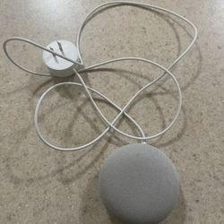 Google Nest Mini 