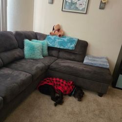 Sectional Couch, Gray