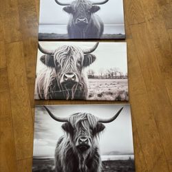 3 Canvas Framed Pictures