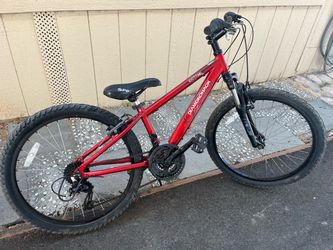 kids bike everything work tires size 24