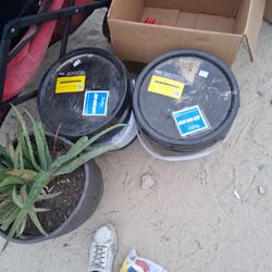 Ezra On 100 Floor Adhesive