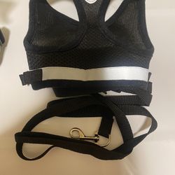 Medium harness and leash for dogs