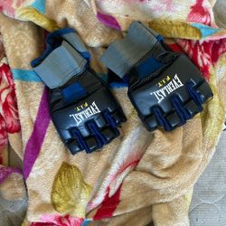 UFC Gloves 