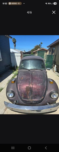 Volkswagen Bug