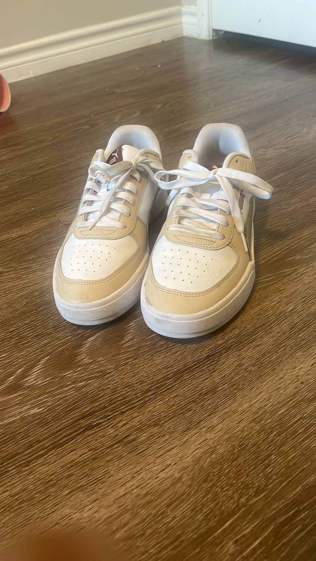 Puma For Sale