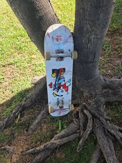 Worble skateboard with thunder trucks