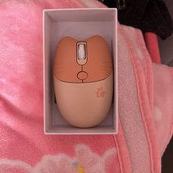Cat paw Pink wireless mouse for computer
