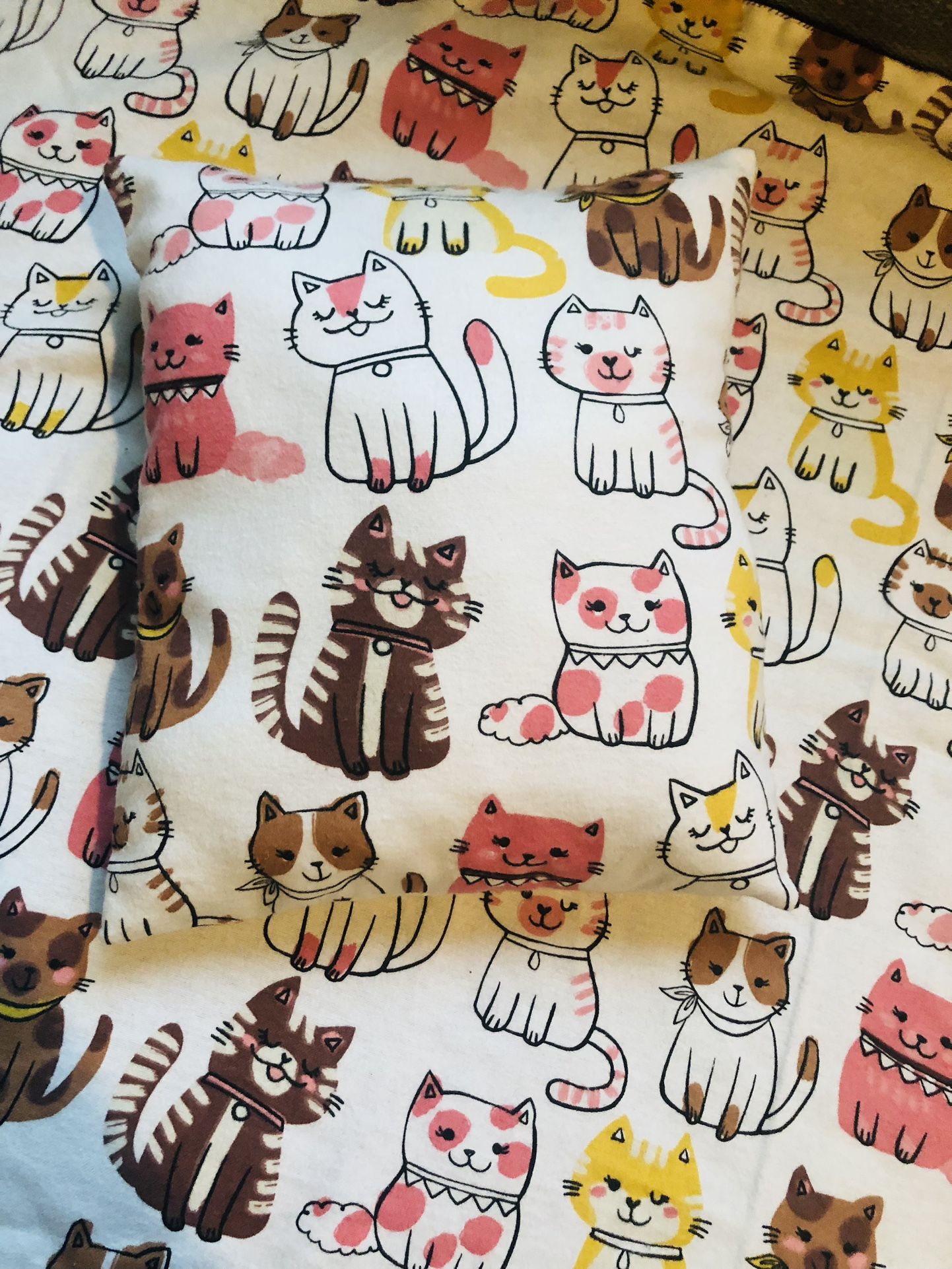 Large Adorable Kitty Blanket and Pillow To Match 23”x31-1/2” Pillow 9”x11”