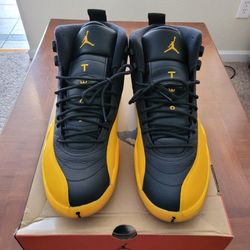 Jordan 12 