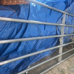 Cattle Gate 