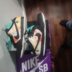 Nike Sb Dunk Low Pro Qs