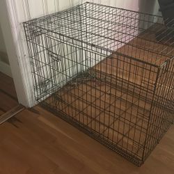 Dog Crate 