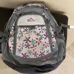 High Sierra Back Pack