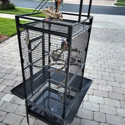 Murphy Pet Elegant 61 inch Bird Cage. Excellent Condition 