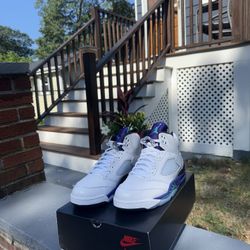 Jordan Grape 5s
