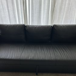 Sleeper Sofa (Ikea)