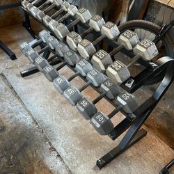 Dumbbells + Stand