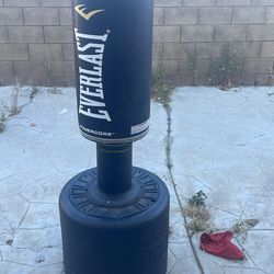 Everlast powercore punching bag