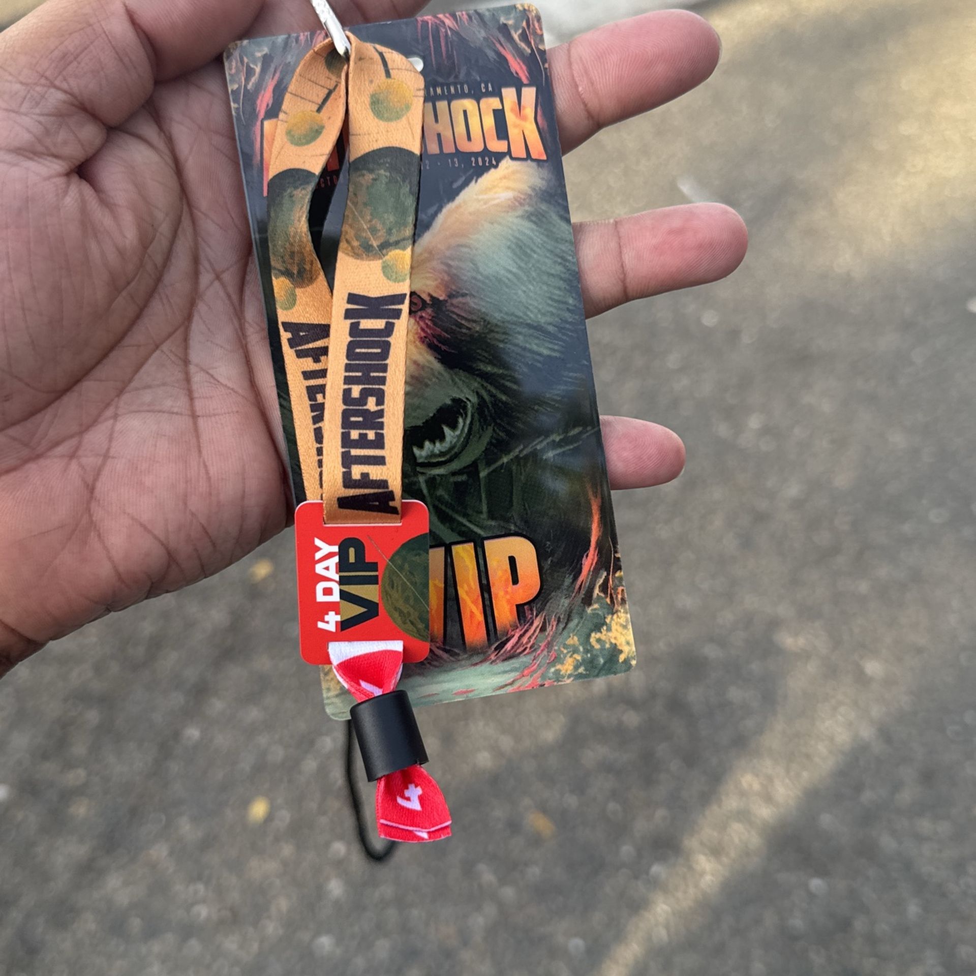 AFTERSHOCK VIP 4 DAY
