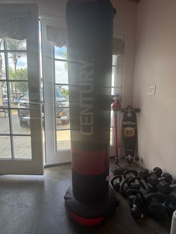 Punching bag and weights