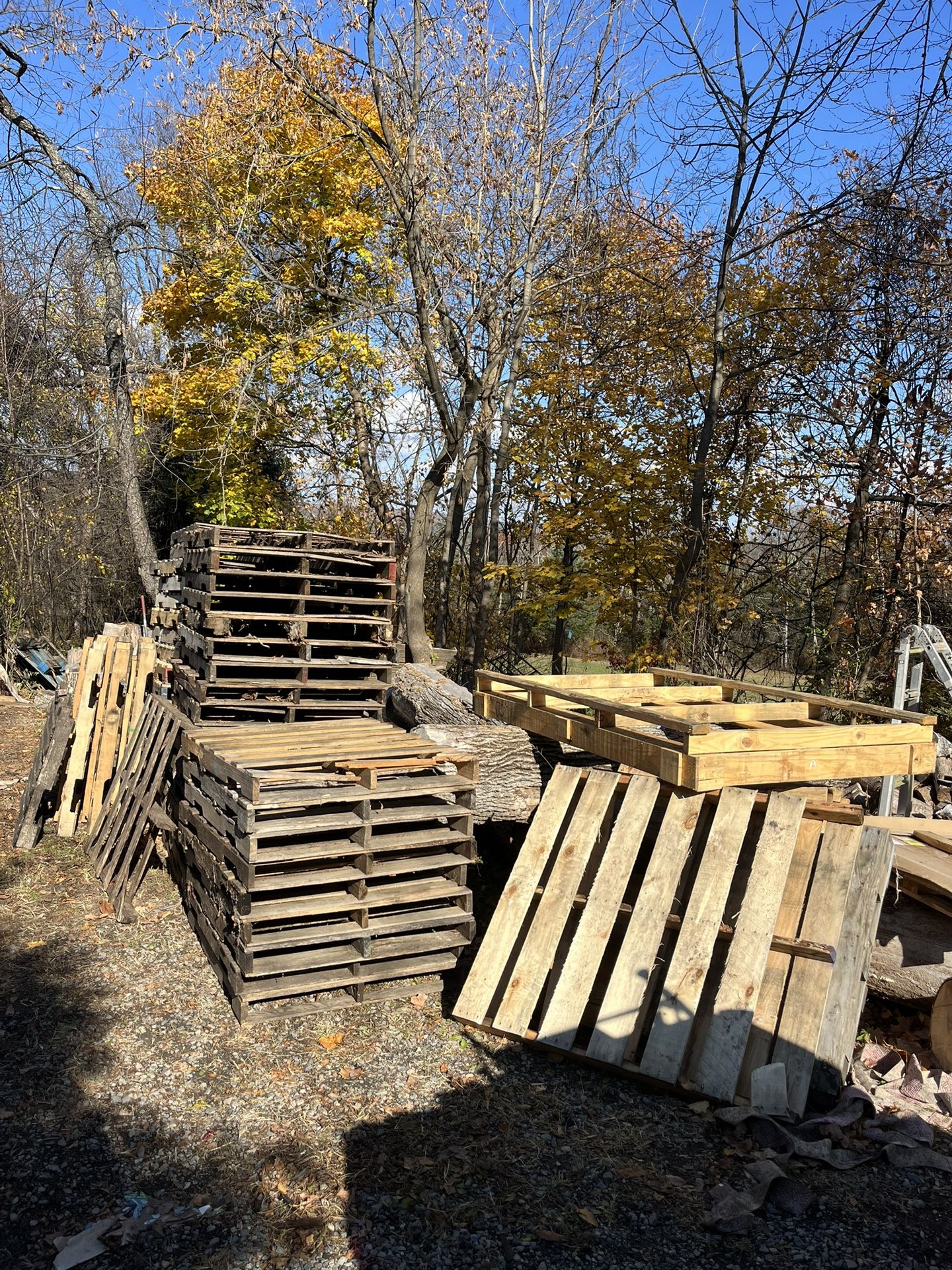 Wooden Pallets of various sizes for stacking wood, upcoming project or what have you.